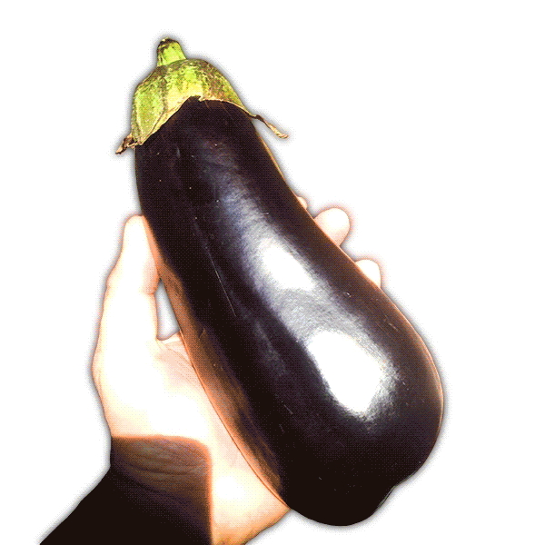 eggplant